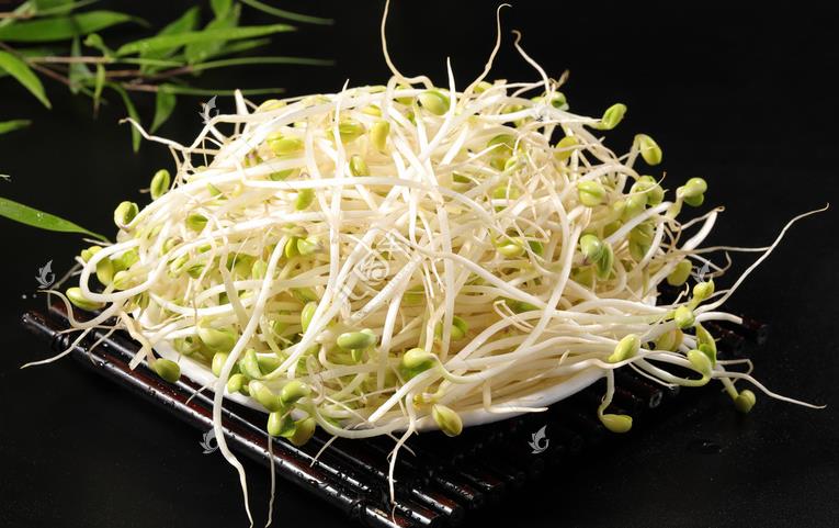 無公害綠色豆芽，怎么生產(chǎn)出來的？全套生產(chǎn)過程如此方便智能